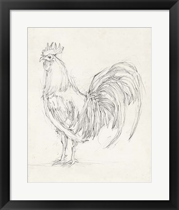 Framed Rooster Sketch II Print