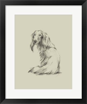 Framed Puppy Dog Eyes II Print