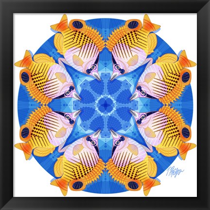 Framed Butterfly Fish Scallop Mandala Print