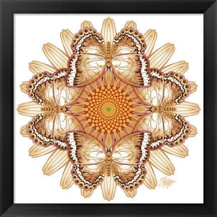 Framed Cone Flower Admiral Mandala Print