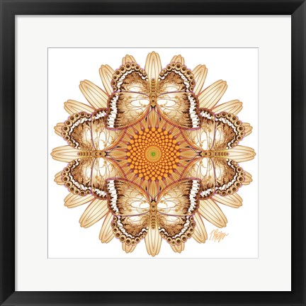 Framed Cone Flower Admiral Mandala Print