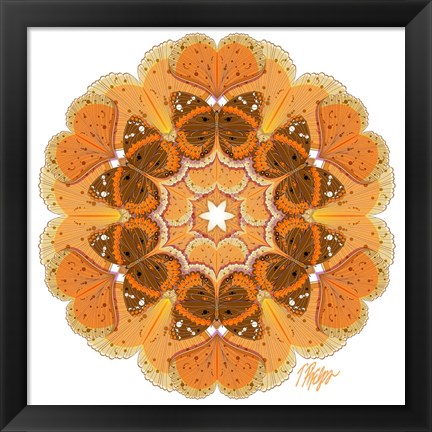 Framed Gingko Admiral Mandala Print