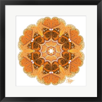 Framed Gingko Admiral Mandala Print