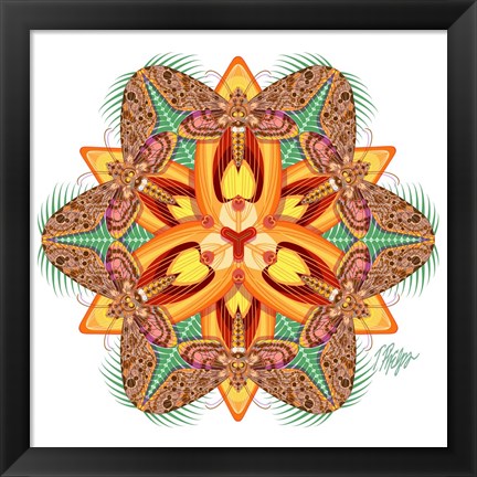 Framed Tiger Lily Sphinx Mandala Print