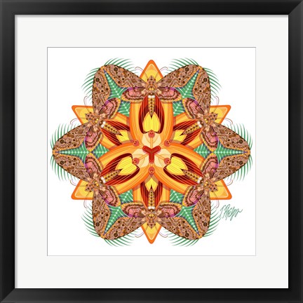 Framed Tiger Lily Sphinx Mandala Print