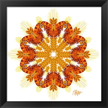 Framed Comma Butterfly Wheat Mandala Print