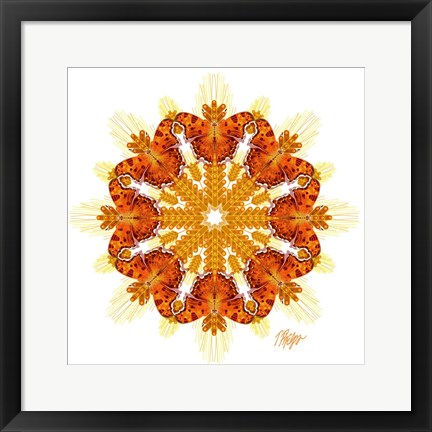 Framed Comma Butterfly Wheat Mandala Print