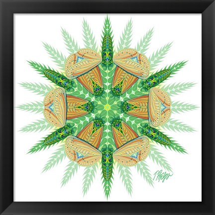 Framed Long Leaf Green Cicada Mandala Print