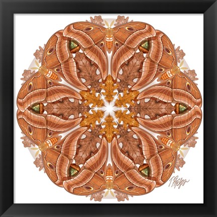 Framed Oak Silk Moth Mandala Print