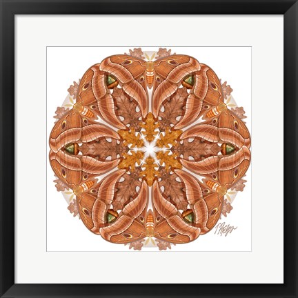 Framed Oak Silk Moth Mandala Print