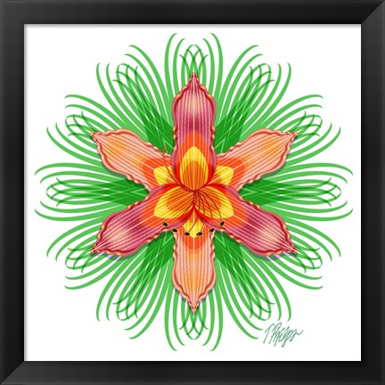 Framed Orange Day Lily Bloom Mandala Print