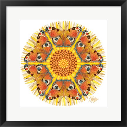 Framed Peacock Butterfly Mandala Print