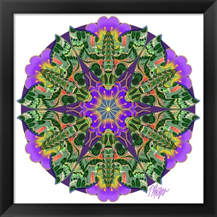 Framed Purple Petunia Sphinx Moth Mandala Print