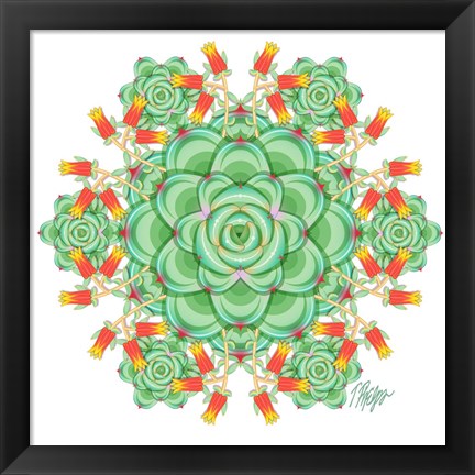 Framed Succulent Cactus Mandala Print