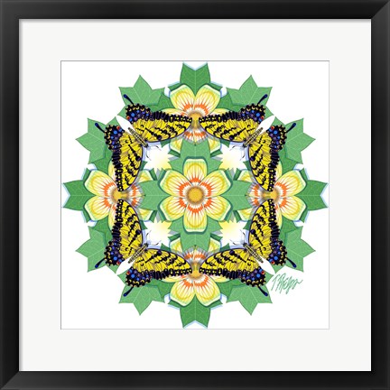 Framed Tulip Poplar Tiger Swallowtail Mandala Print