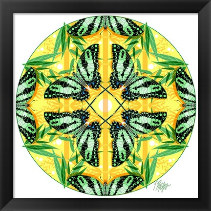 Framed Zebra Swallowtail Bamboo Mandala Print