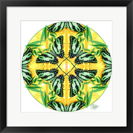 Framed Zebra Swallowtail Bamboo Mandala Print