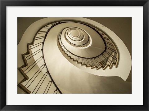 Framed Parrot Staircase Print