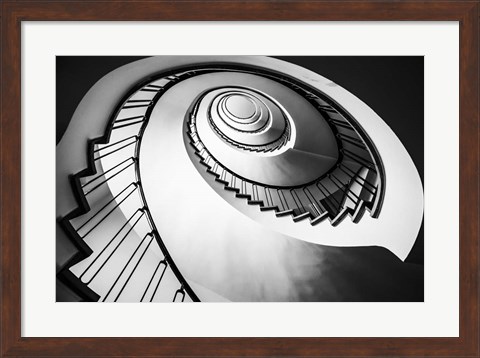 Framed Parrot Staircase  Black/White Print