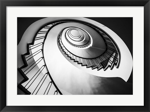 Framed Parrot Staircase  Black/White Print