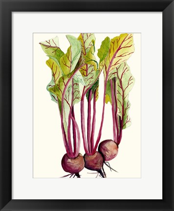 Framed Early Harvest II Print