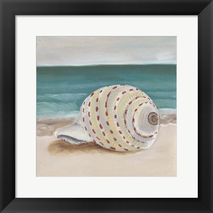 Framed She Sells Seashells II Print