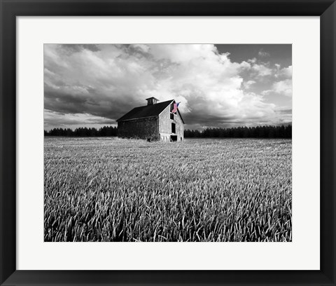 Framed Flags of Our Farmers XIII Print