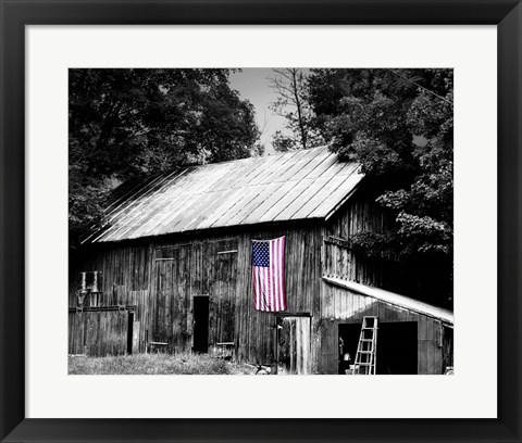 Framed Flags of Our Farmers III Print