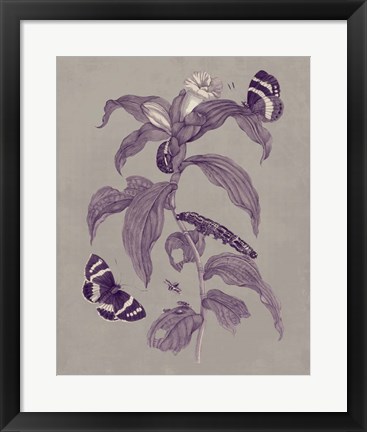 Framed Nature Study in Plum &amp; Taupe I Print