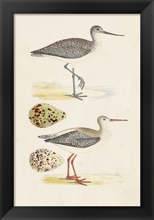 Framed Sandpipers &amp; Eggs I Print