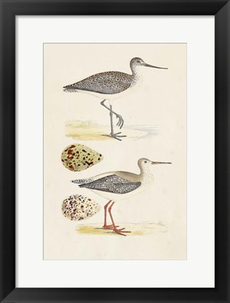 Framed Sandpipers &amp; Eggs I Print