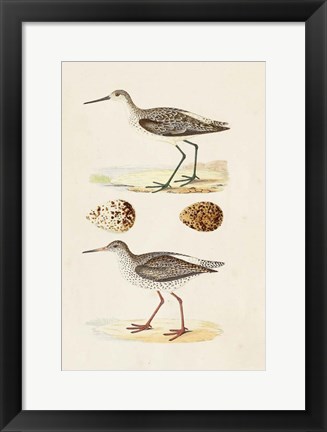 Framed Sandpipers &amp; Eggs II Print