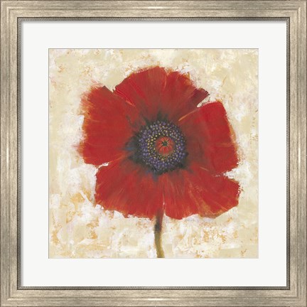 Framed Red Poppy Portrait II Print