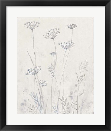 Framed Neutral Queen Anne&#39;s Lace II Print