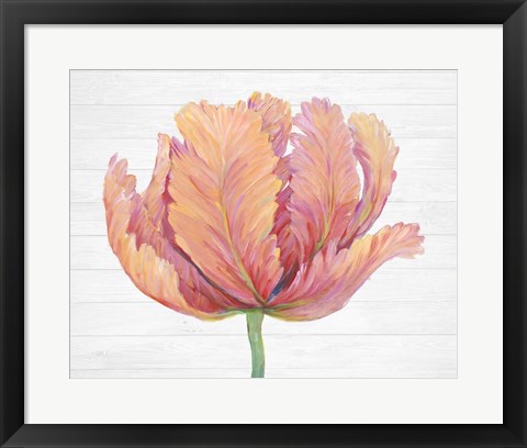 Framed Single Pink Bloom I Print