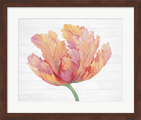 Framed Single Pink Bloom II Print