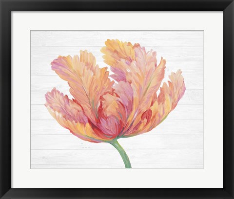 Framed Single Pink Bloom II Print