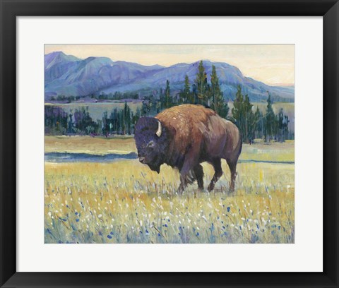 Framed Animals of the West II Print