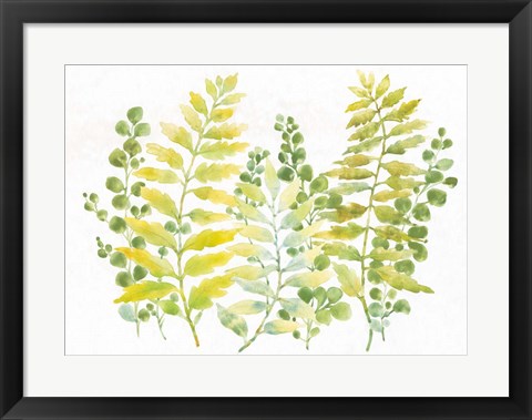 Framed Mixed Greenery I Print