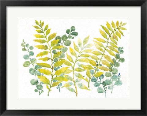 Framed Mixed Greenery II Print