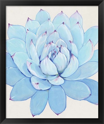 Framed Pastel Succulent II Print