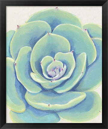 Framed Pastel Succulent IV Print