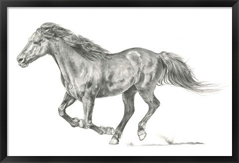 Framed Wild Horse Portrait I Print