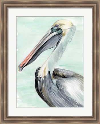 Framed Turquoise Pelican II Print