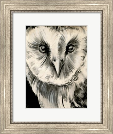Framed Charcoal Owl II Print