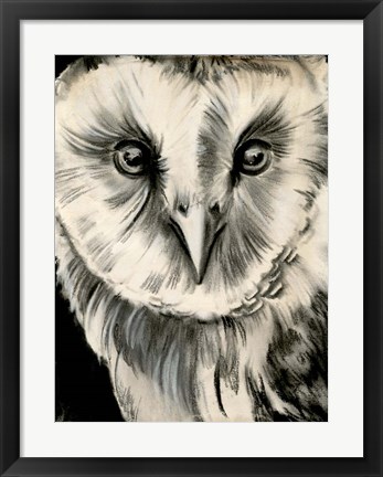 Framed Charcoal Owl II Print