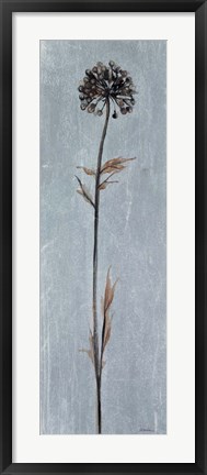 Framed Cool Botanicals I Print