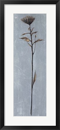 Framed Cool Botanicals II Print