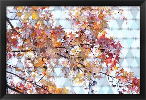 Framed Autumn Leaves 2 Print