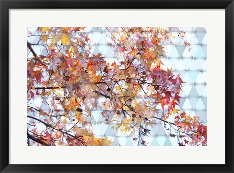 Framed Autumn Leaves 2 Print